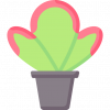 Indoor Plant Care Guide